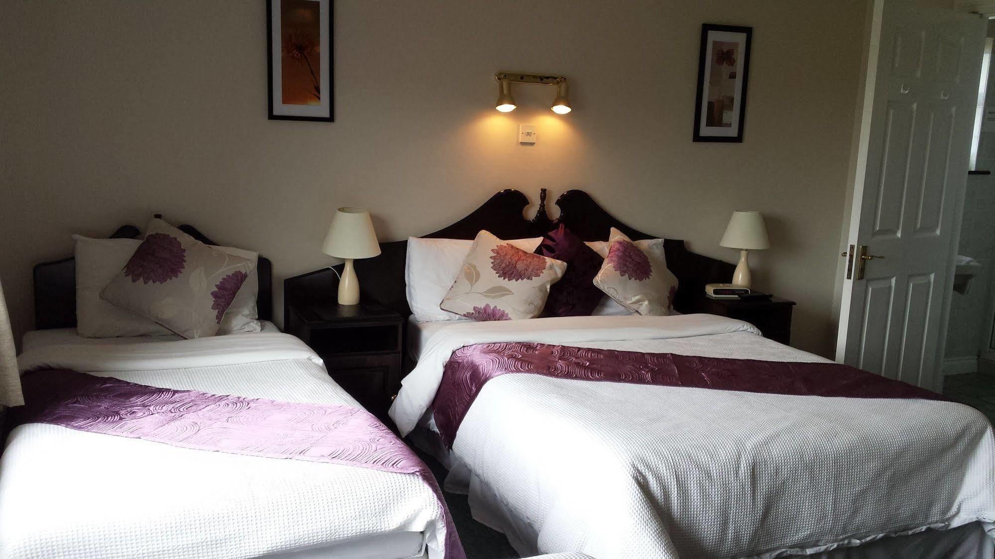 Riverview House Country house Athlone